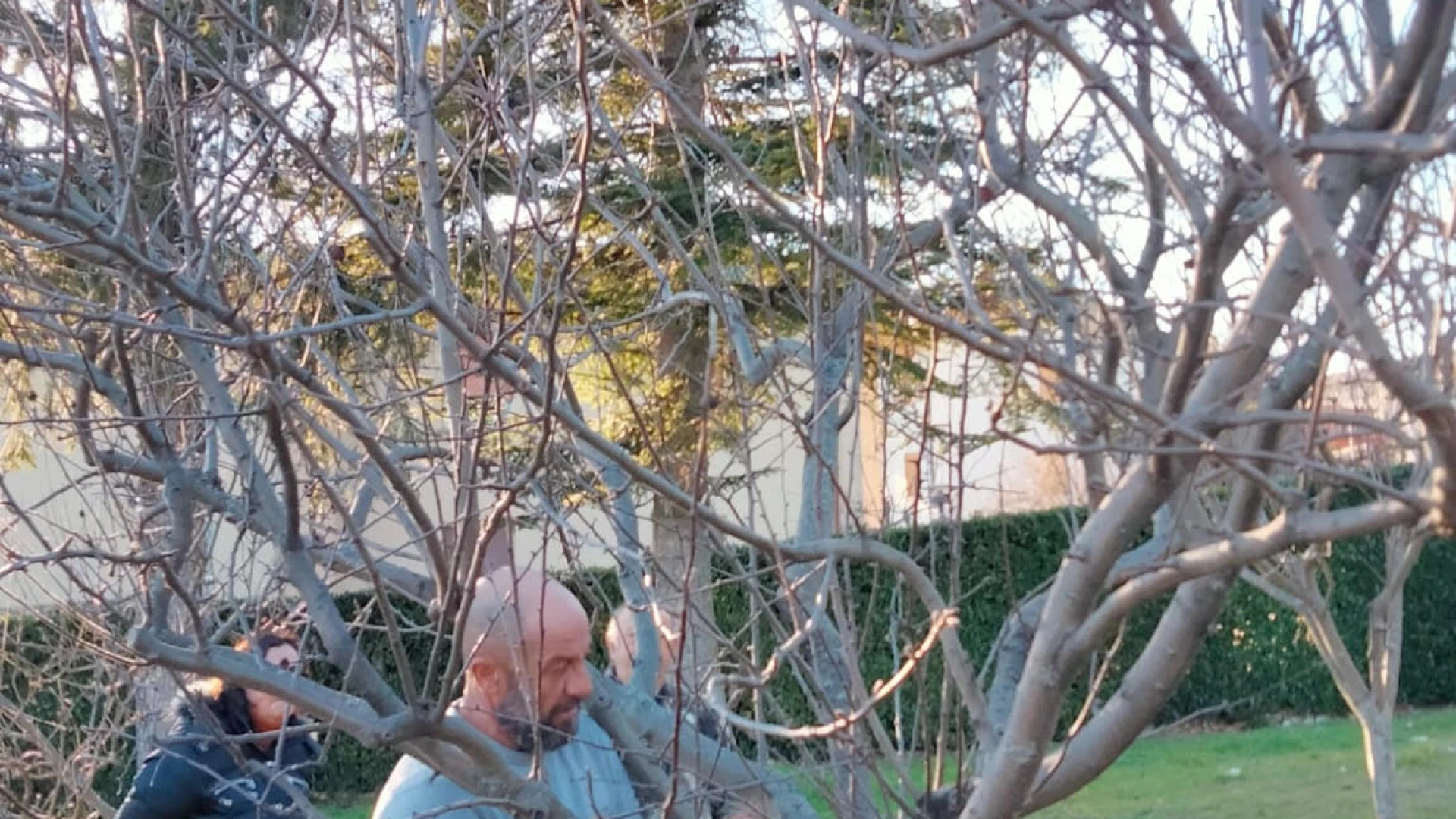 Impariamo a potare gli alberi da frutto, appuntamento domenica 16 febbraio presso l’arboreto “Giancarlo Cipressi” a Santa Maria Arabona, Manoppello.